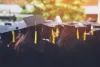 graduation hats during commencement