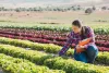 Woman working on a farm - rural serving institutions are AAU members
