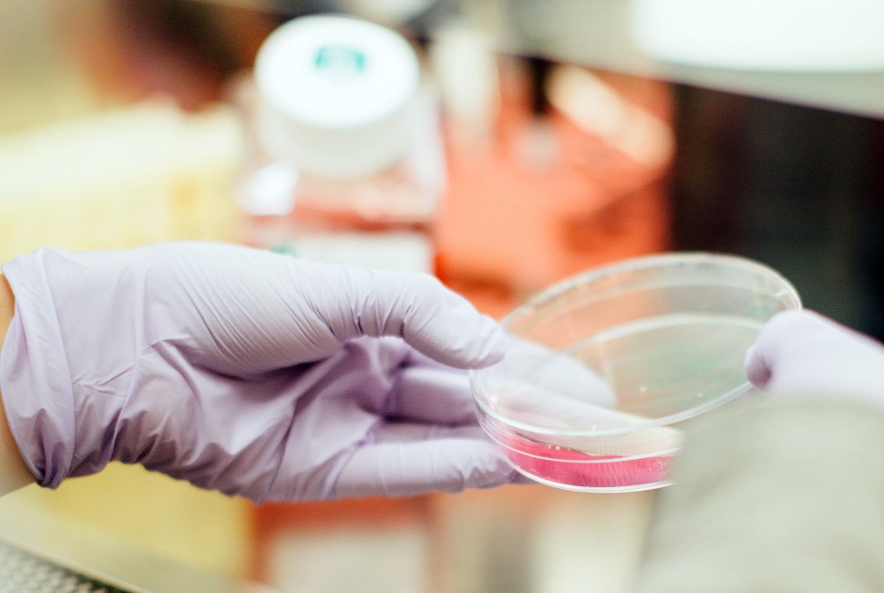 New therapy harnesses patients’ blood cells to fight tumors
