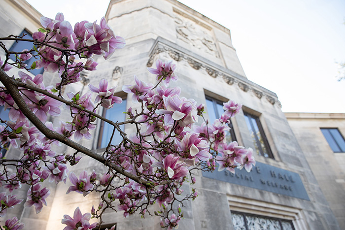 "KU Part of Project to Train Future Social Workers to Recognize Domestic Abuse; Photo flowers in front of KU building, Image credit: KU Marketing"
